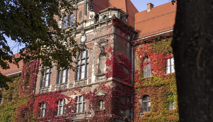 Jesień we Wrocławiu