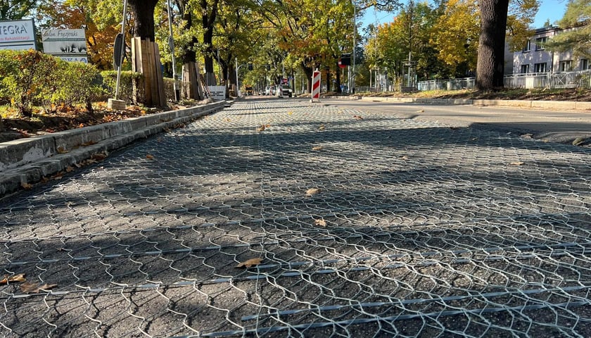 Siatka wzmacniająca na ul. Olszewskiego we Wrocławiu (zdjęcie ilustracyjne)