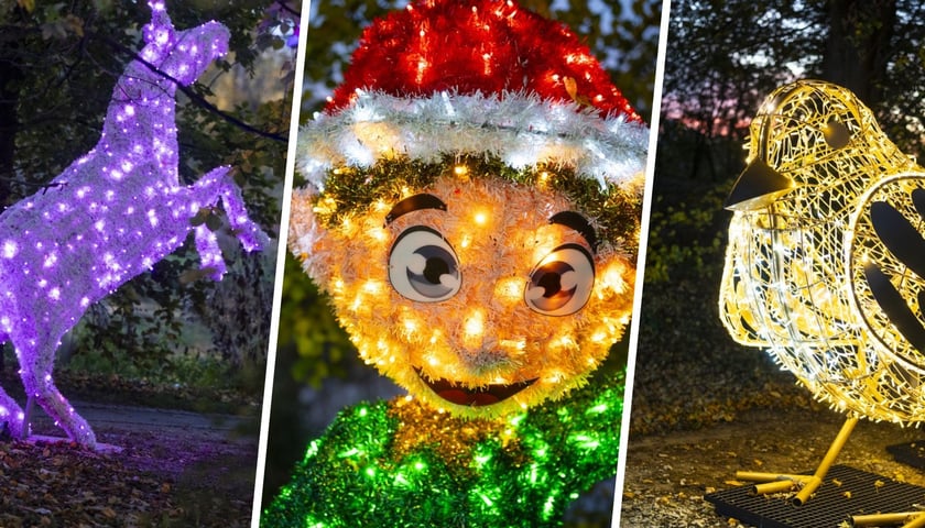 Iluminacja świetlna przedstawiająca skrzata, konia, ptaka. Lumina Park 2024