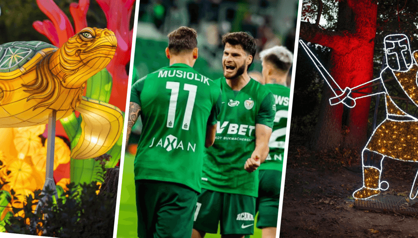 Od lewej żółwie - lampiony z wystawy Ogród świateł - Dzika Azja w ZOO Wrocław, w środku piłkarze Śląska Wrocław, po prawej jedna z dekoracji świetlnych w Lumina Park w ogrodach Zamku Topacz (rycerz z mieczem) 