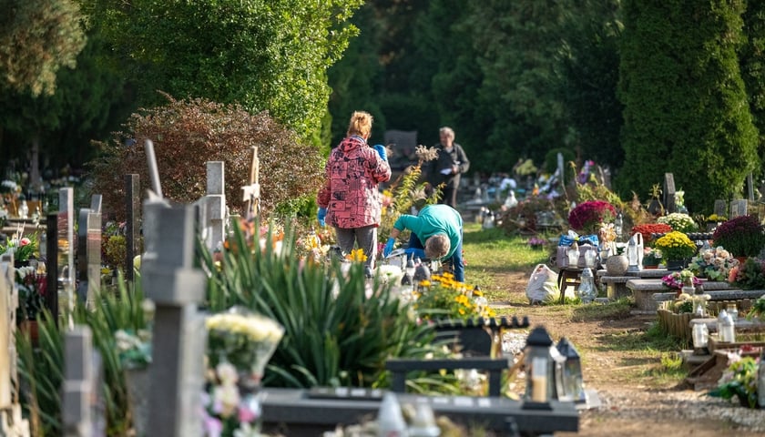 Przygotowania do Wszystkich Świętych na cmentarzu Osobowickim - 27.10.2024