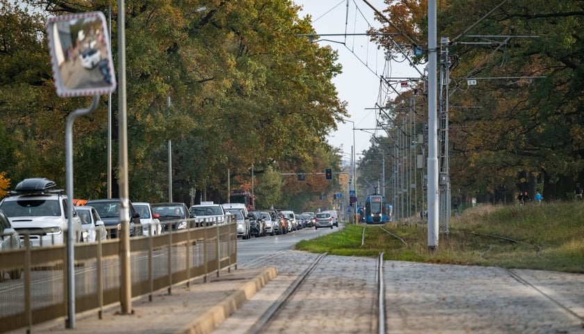Przygotowania do Wszystkich Świętych na cmentarzu Osobowickim - 27.10.2024