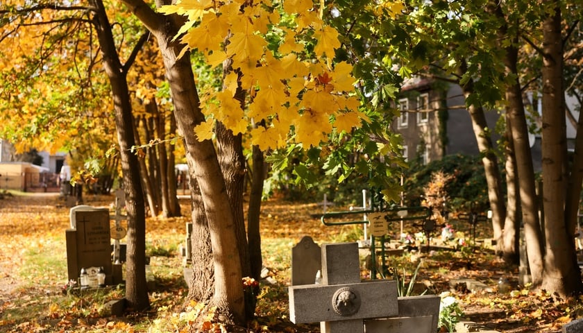 Stele odkryte na gruzowisko na cmentarzu przy ul. Krzyckiej na Krzykach