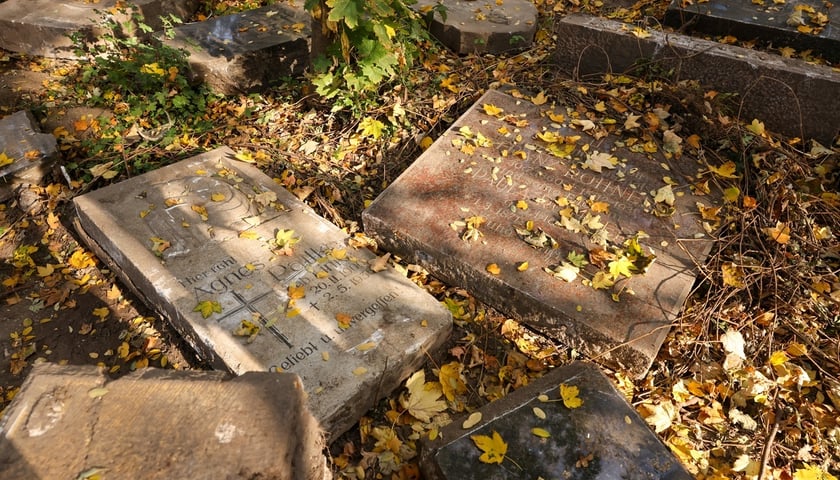 Stele odkryte na gruzowisku na cmentarzu przy ul. Krzyckiej na Krzykach