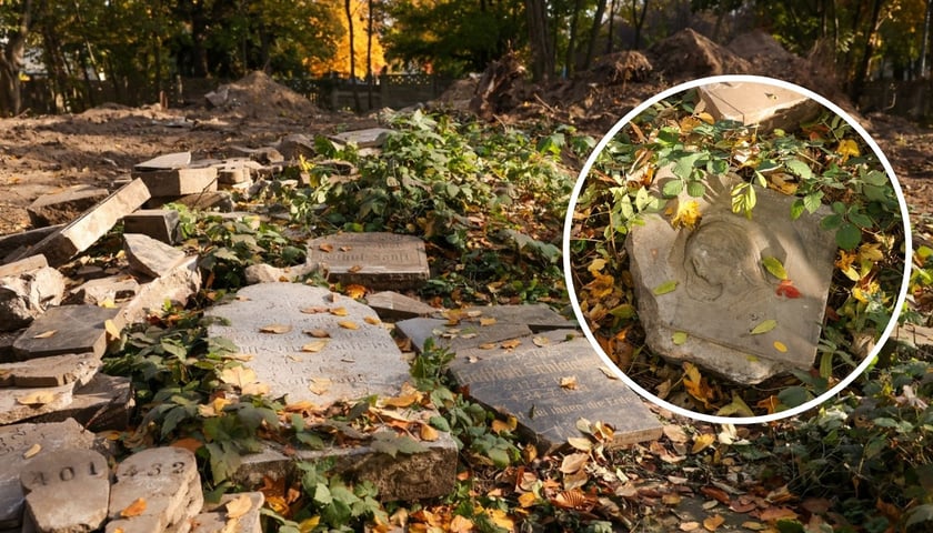 Stele odnalezione na cmentarzu przy ul. Krzyckiej