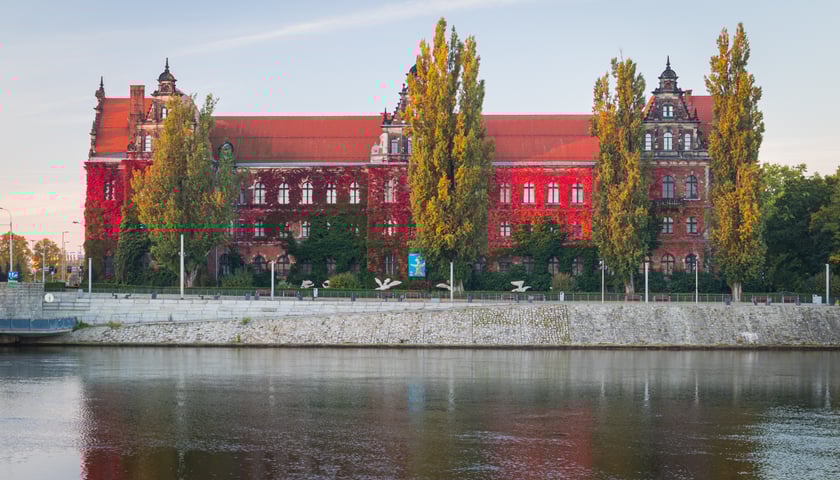 Północna ściana, porośnięta bluszczem Muzeum Narodowego we Wrocławiu. 