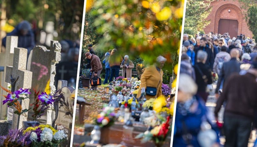 Kobiety i mężczyźni na wrocławskich nekropoliach 1 listopada 2024 r. 