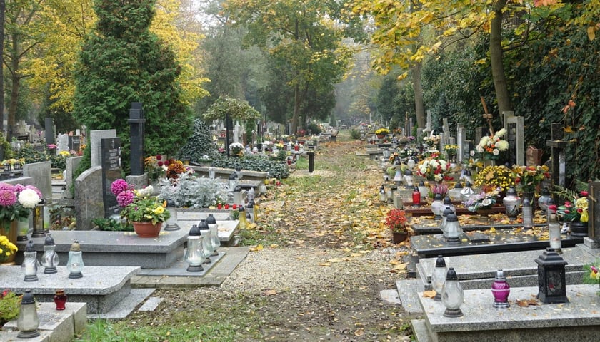 Cmentarz św. Wawrzyńca przy Bujwida, rok 2017