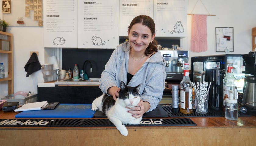 Na zdjęciu kot na ladzie w kawiarni KOTON Kocia kawiarnia, za nim głaszcząca go baristka. Sprawdź, jakie są inne kawiarnie ze zwierzętami we Wrocławiu!