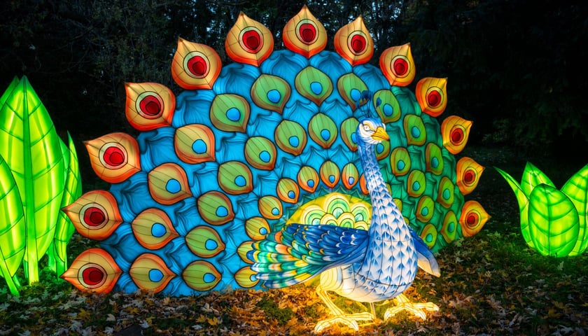 Wystawa Garden of Lights „Dzika Azja”