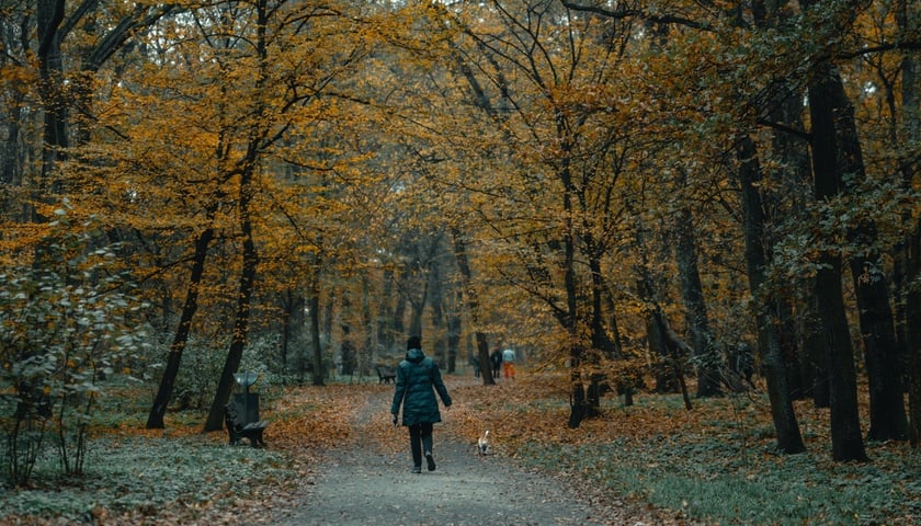 Park Zachodni we Wrocławiu