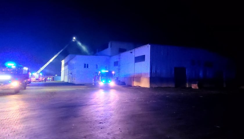 Pożarej hali w dawnej przetwórni peletu