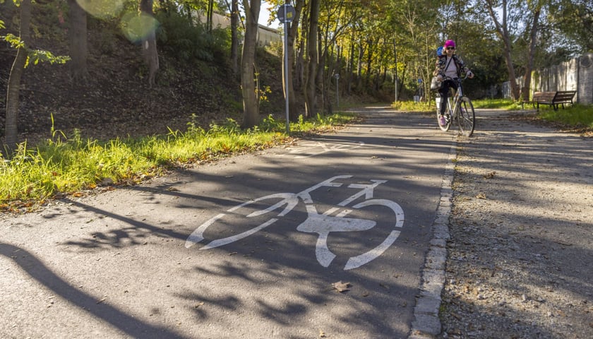 Zdjęcie ilustracyjne: rowerzysta na Promenadzie Krzyckiej 