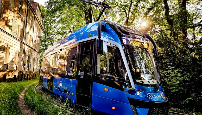 Zdjęcie wyróżnione w konkurs fotograficznym 