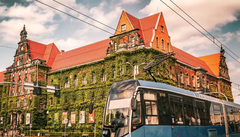 Zdjęcie wyróżnione w konkurs fotograficznym 