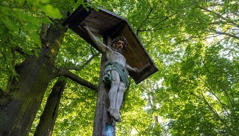 Zabytkowy krzyż stojący nad Odrą na granicy Biskupina i Dąbia. Zdjęcie z maja 2024
