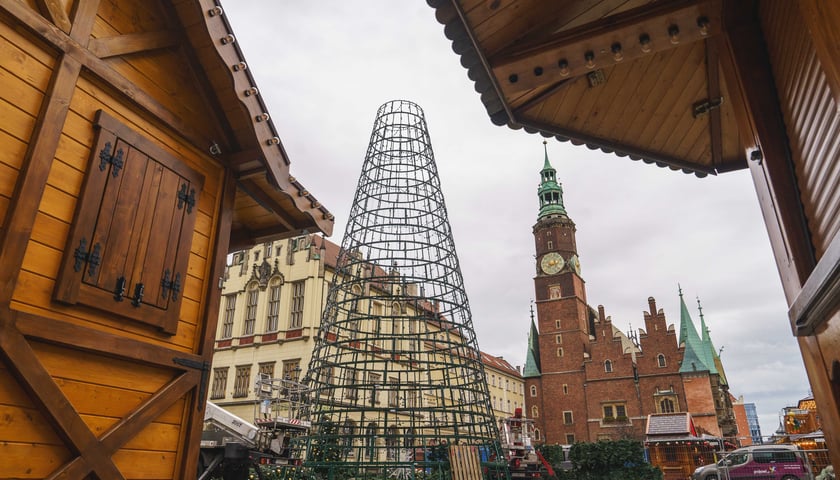 Trwa montaż nowej choinki w Rynku we Wrocławiu