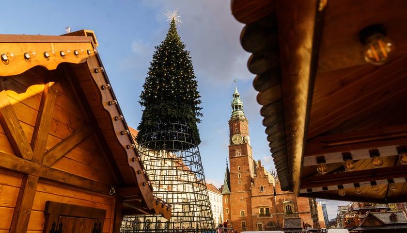 Budowa nowej choinki w Rynku, gdzie powstaje również Wrocławski Jarmark Bożonarodzeniowy 2024
