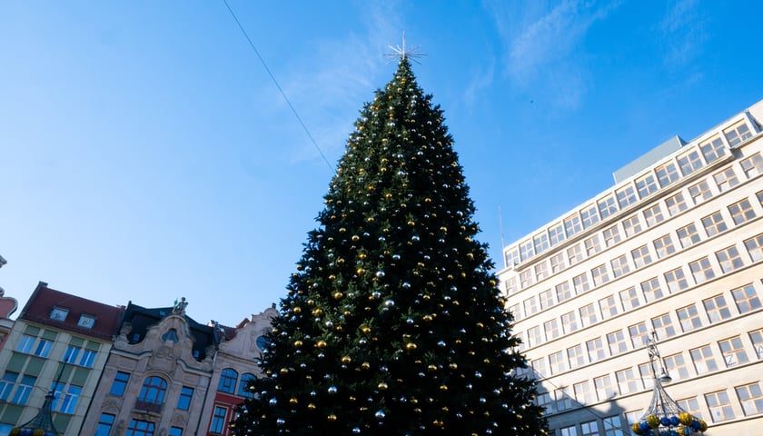 Choinka na Rynku we Wrocławiu