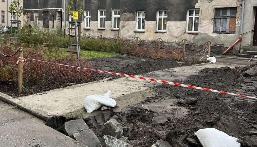 Rekultywacja skwerów, placyków i terenów zielonych w centrum Wrocławia. 