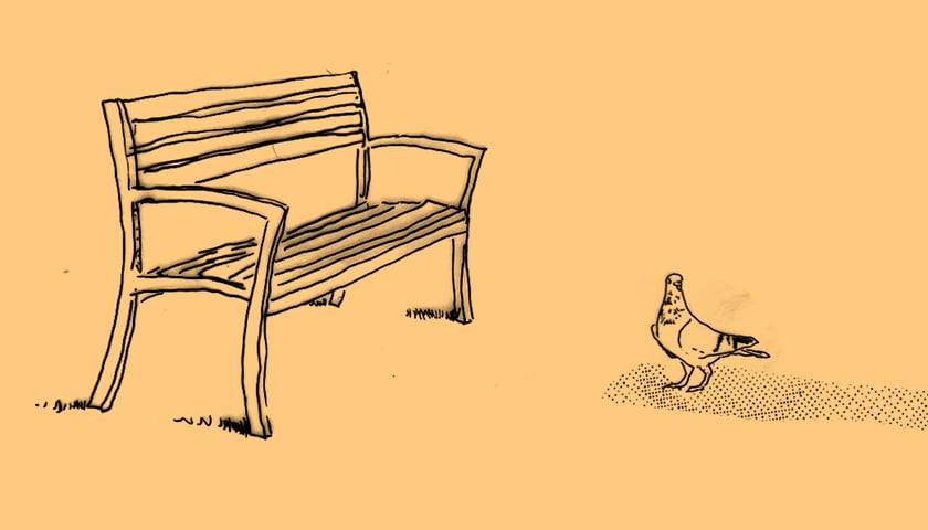 Ławka i gołąb na pomarańczowym tle. Grafika ilustracyjna.