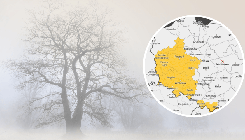 Drzewo we mgle, a na zdjęciu w kółeczku: mapa IMGW pokazująca teren, na którym spodziewane są mgły 