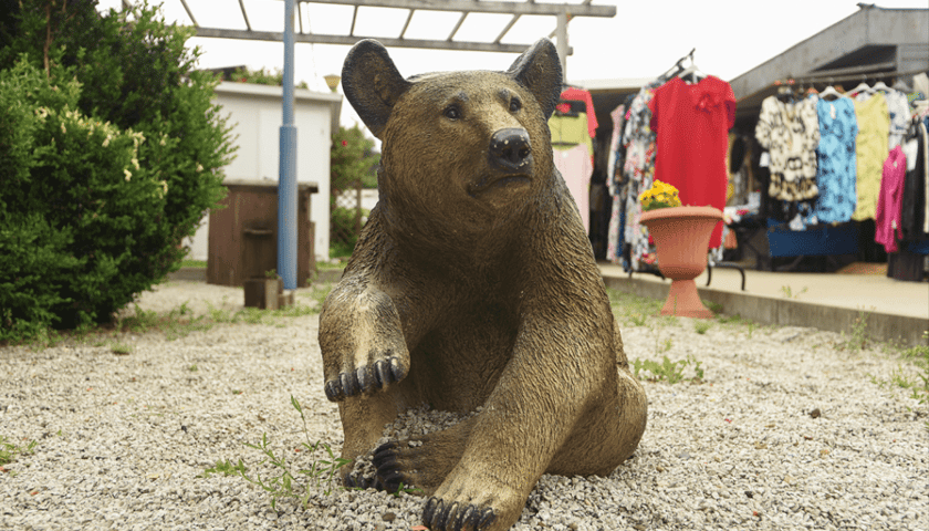 Figura niedźwiedzia brunatnego - pomalowana na złotawy kolor - przy wejściu na Targowisko Niedźwiedzia przy ul. Niedźwiedziej