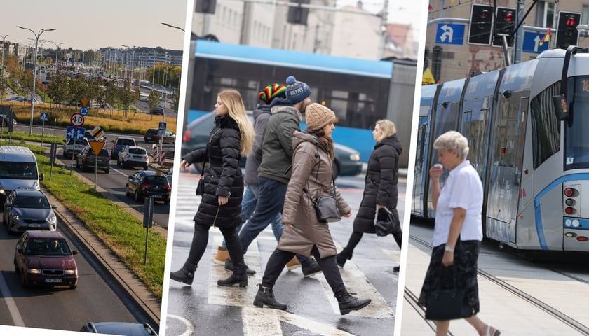 Samochody, piesi, tramwaje we Wrocławiu