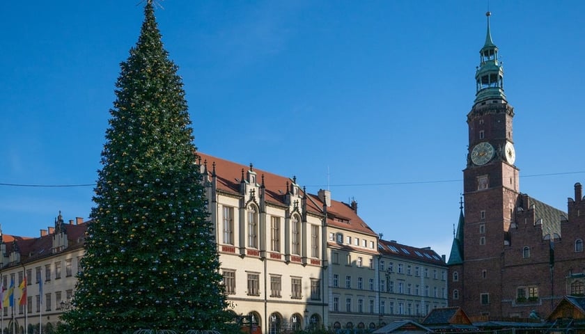 Choinka w Rynku - w tle Ratusz i Sukiennice