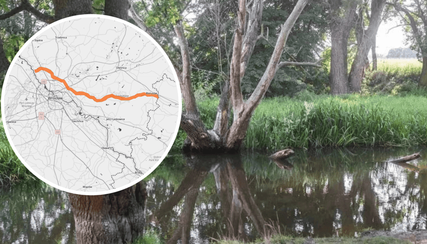 Widok na Widawę, a na zdjęciu w kółeczku - mapa IMGW z zaznaczoną Widawą w miejscu, gdzie obowiązuje ostrzeżenie