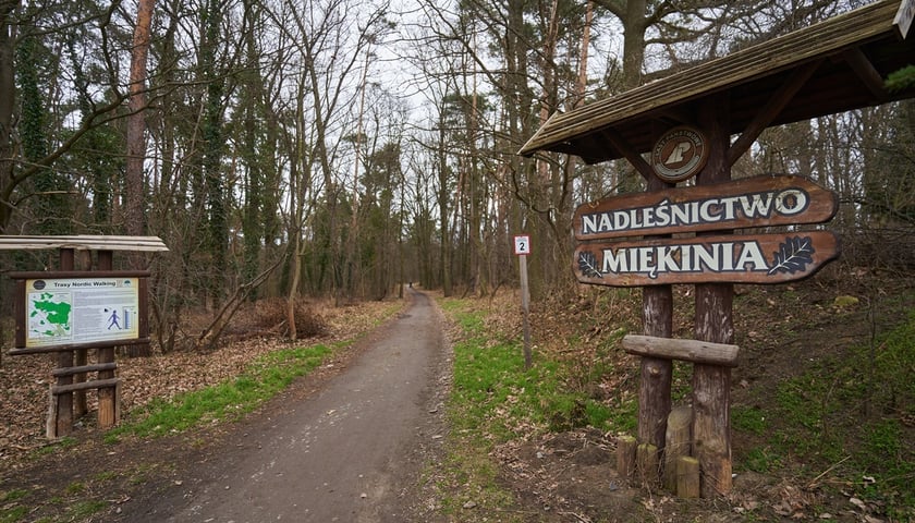 Tablice informacyjne przy lesie Mokrzańskim.