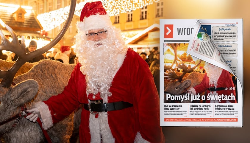 Andrzej Gaszewski trzyma figurę renifera za uzdę na Wrocławskim Jarmarku Bożonarodzeniowym
