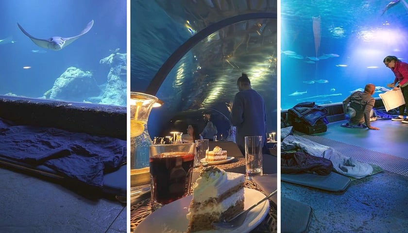 Nocowanie w Afrykarium w zoo. Zestawienie 3 zdjęć. Z lewej śpiwory rozłożone na podłodze w Kanale Mozambickim, z prawej również śpiwór, widać płaszczkę. W środku kolacja. 