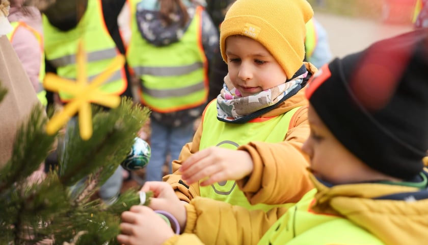 Dzieci z Przedszkola nr 17 na wrocławskim Zakrzowie ubrały choinkę w Parku Jedności - 18.12.2024