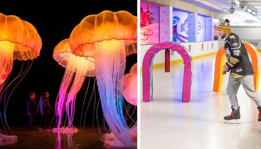 Po lewej: wystawa Garden of Lights Dzika Azja wrocławskiego zoo, po prawej: mężczyzna na lodowisku