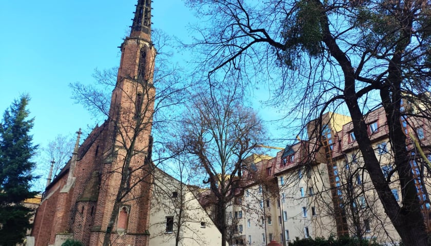 <p>U zbiegu ulic Piwnej, Ładnej i Miłej znajdował się cmentarz św. Wawrzyńca (zlikwidowany w 1945 r.), gdzie zostali pochowani prapradziadek i praprababcia Umy Thurman. Dziś w tym rejonie znajduje się m.in. kości&oacute;ł zielonoświątkowy.</p>