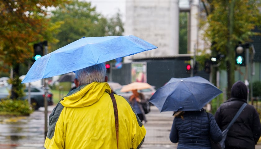 Na zdjęciu ludzie z parasolami