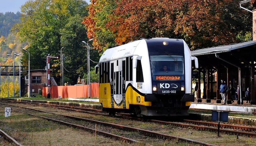 Pociąg Kolei Dolnośląskich (zdjęcie ilustracyjne)