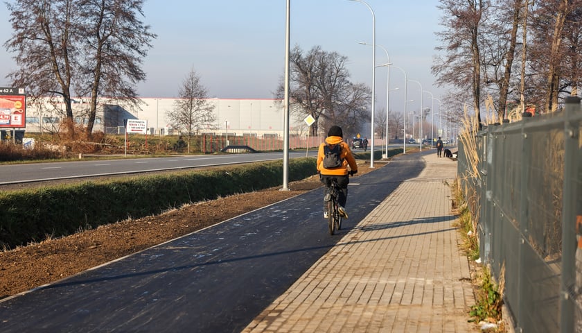 Rowerzysta z żółtej kurtce jadący po ścieżce rowerowej przy ul. Avicenny we Wrocławiu