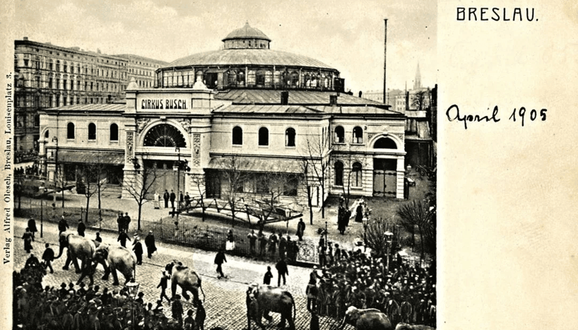 Cyrk Buscha. Rok 1905. Zdjęcie archiwalne