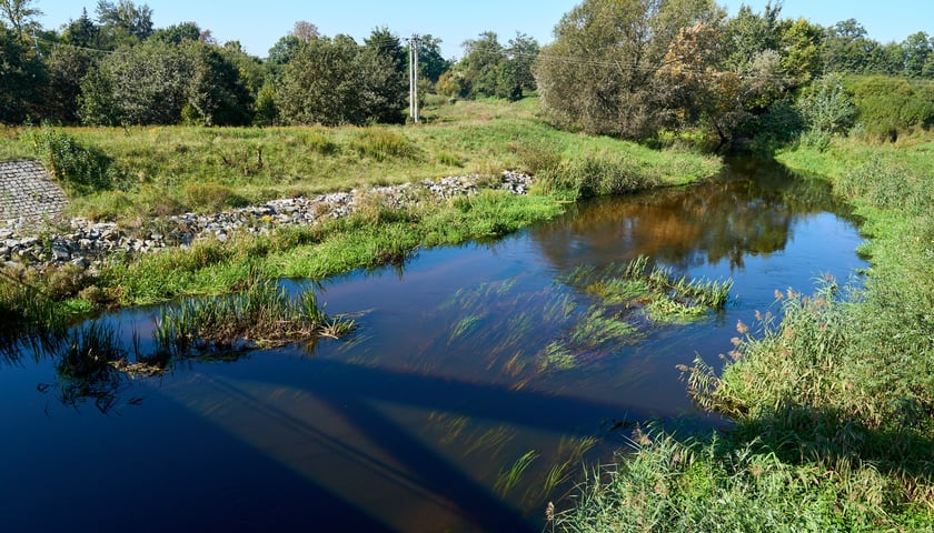 Rzeka Widawa, zdjęcie ilustracyjne