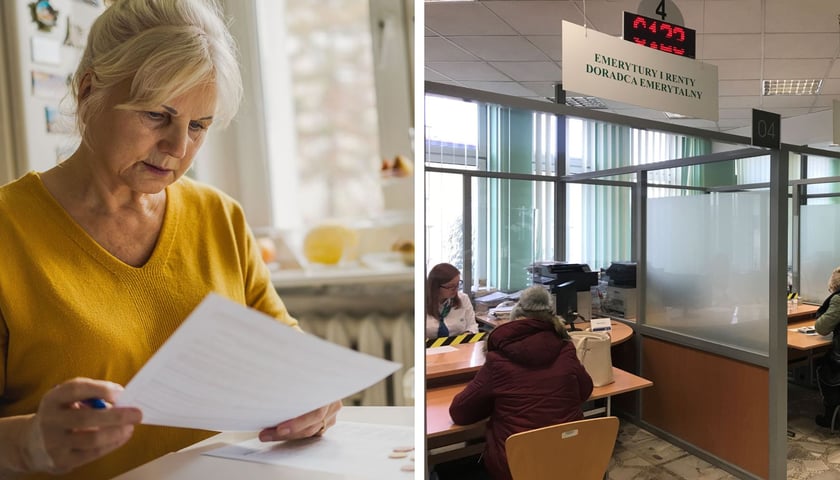 Starsza kobieta czyta dokument, na sali kobiety i mężczyźni w ZUS-ie składają wnioski o rentę wdowią