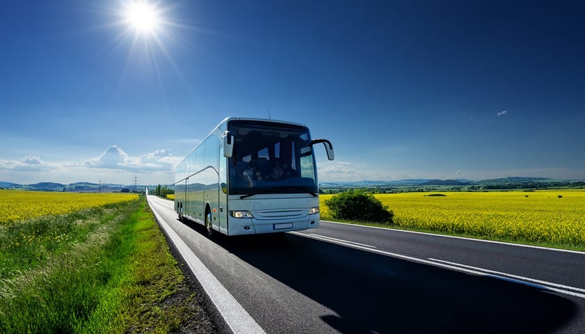 Na zdjęciu autobus jadący szosą między polami rzepaku. Zdjęcie ilustracyjne