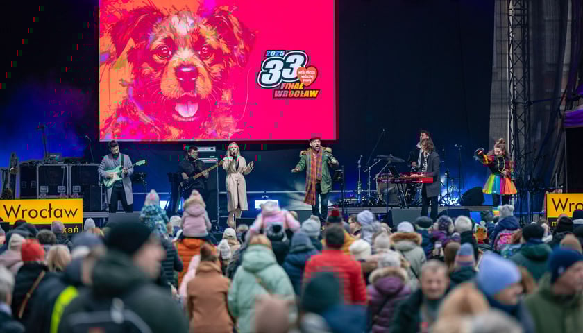 Tłum ludzi - publiczność patrzy na artystów na scenie