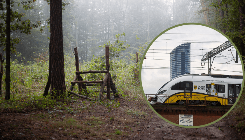 Las w Obornikach Śląskich, w kółku pociąg