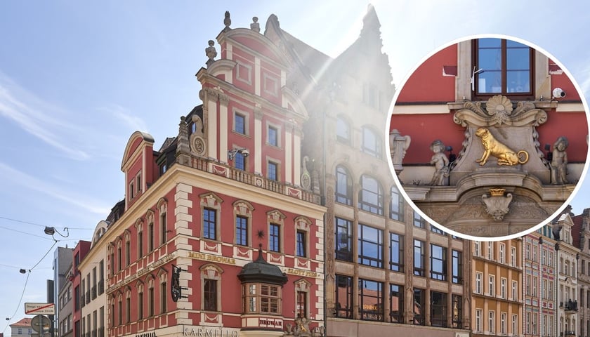 Poznajcie wrocławskiego psa Hachiko, który upamiętniony został na portalu jednej z kamienic znajdujących się w Rynku.