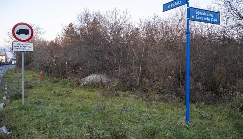 <p>W tym miejscu może przebiegać nowa trasa tramwajowa na Klecinę</p>