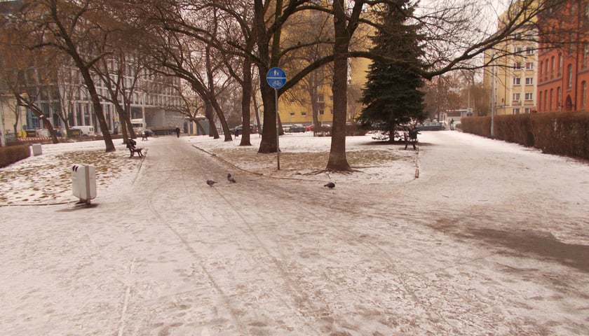 Skwer Adolfa Marii Bocheńskiego przed rewitalizacją.