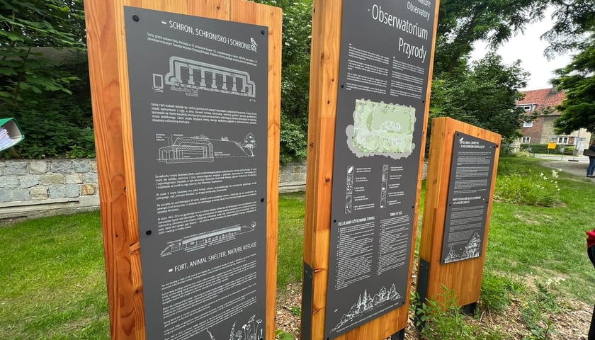 Obserwatorium przyrody przy ul. Skarbowców we Wrocławiu.