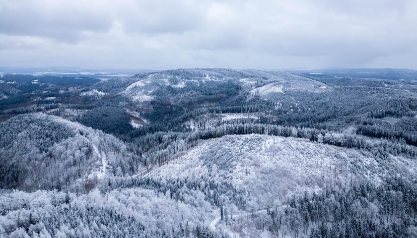 Widok z wieży widokowej na Dolnym Śląsku
